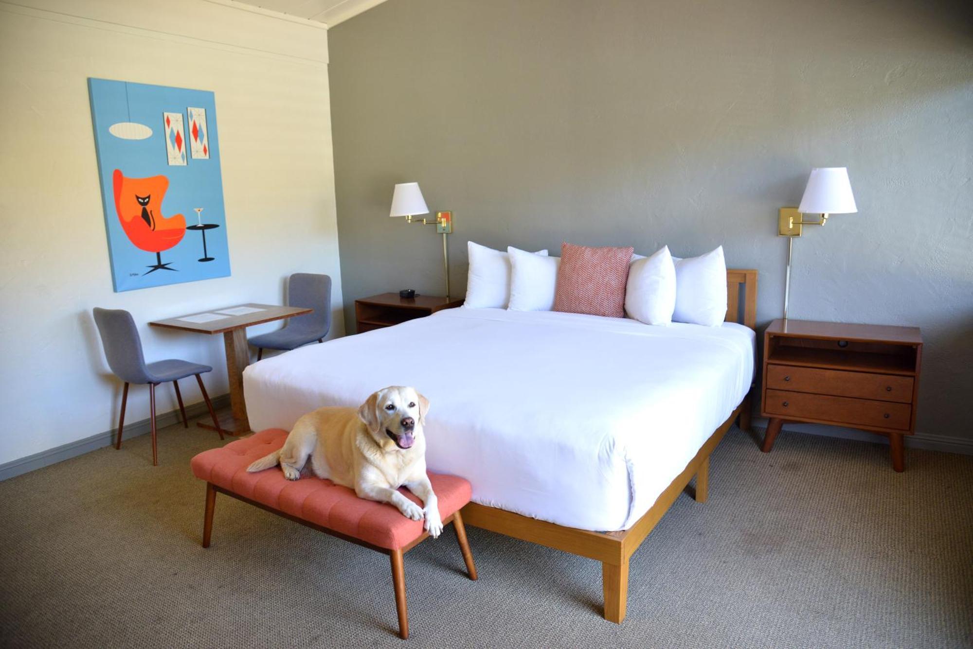 Contenta Inn Carmel Valley Buitenkant foto