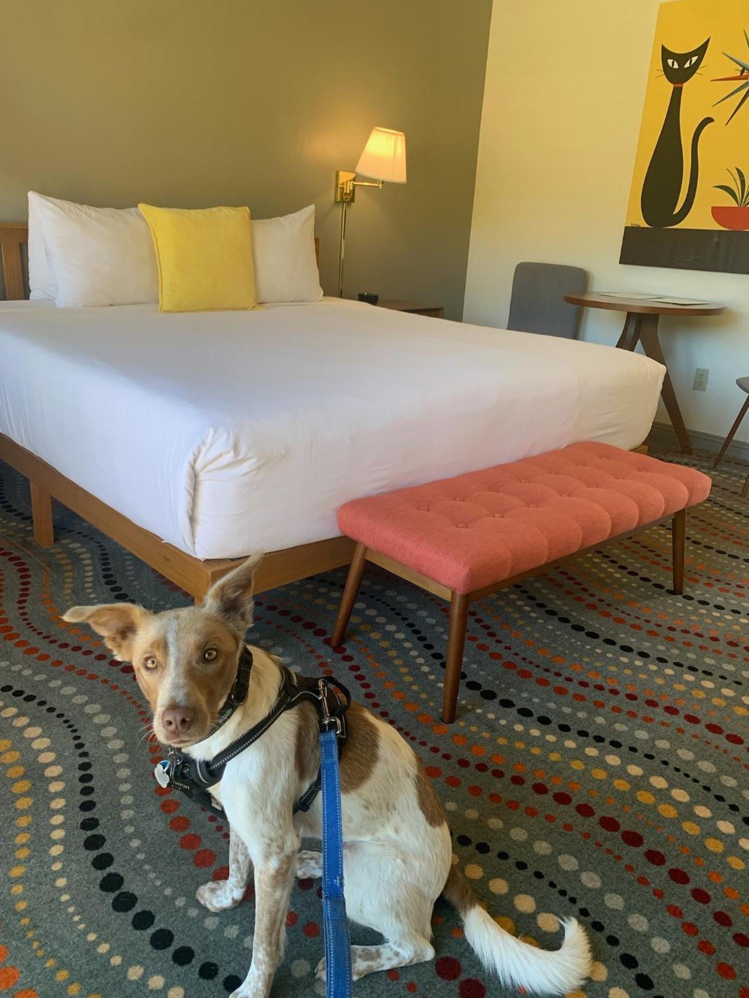 Contenta Inn Carmel Valley Buitenkant foto